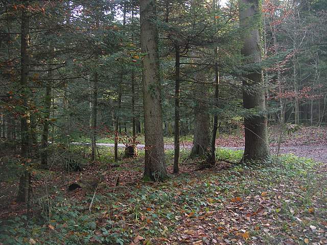 Prima  dell�era  glaciale